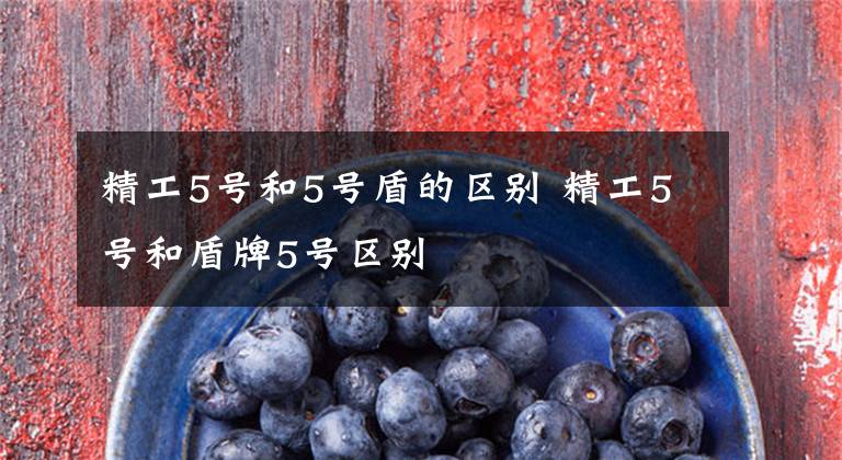 精工5号和5号盾的区别 精工5号和盾牌5号区别