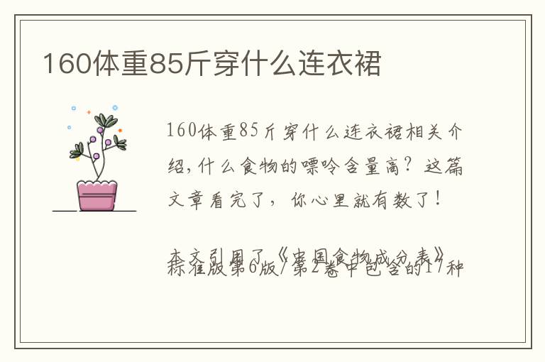 160体重85斤穿什么连衣裙