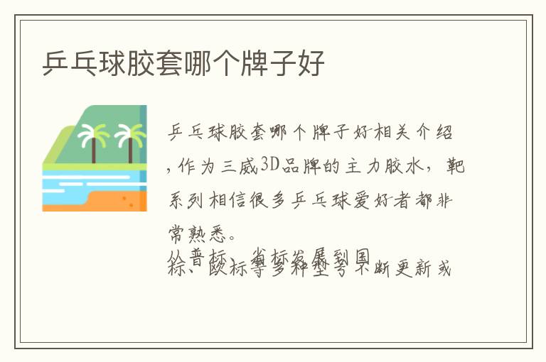 乒乓球胶套哪个牌子好