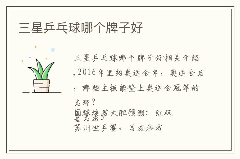 三星乒乓球哪个牌子好