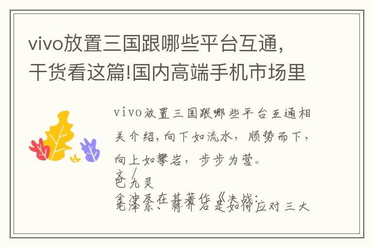 vivo放置三国跟哪些平台互通，干货看这篇!国内高端手机市场里，第三家会是谁？