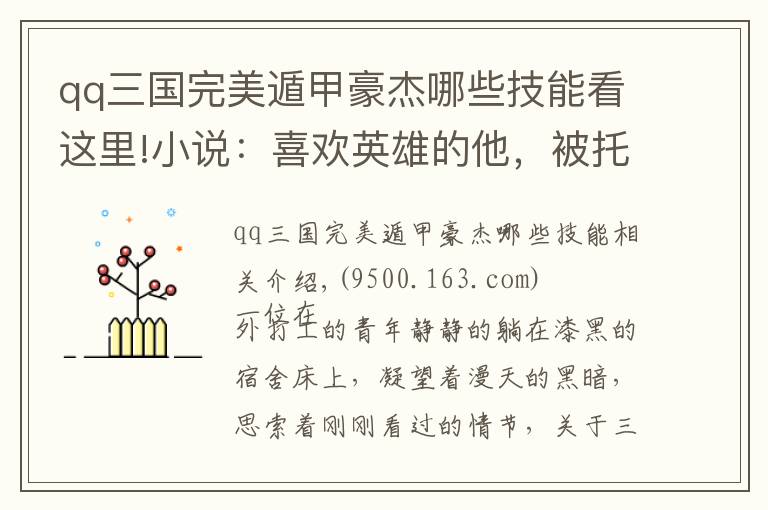 qq三国完美遁甲豪杰哪些技能看这里!小说：喜欢英雄的他，被托梦后穿越变成将军，完成一个任务
