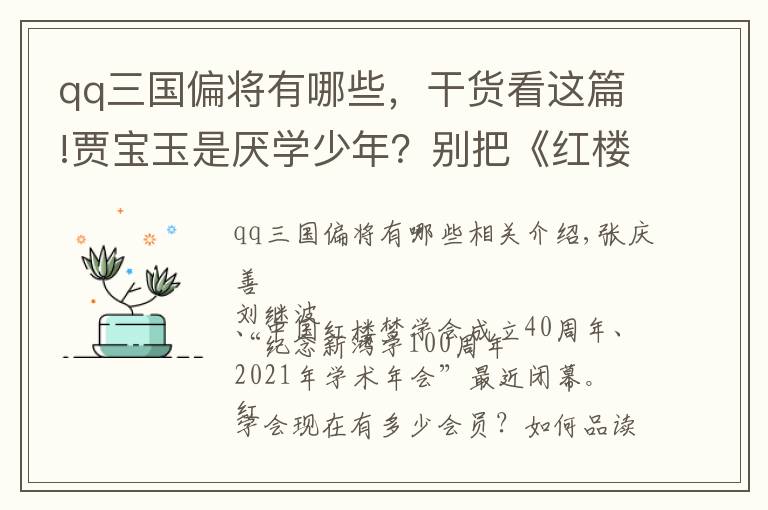 qq三国偏将有哪些,干货看这篇!贾宝玉是厌学少年?别把《红楼梦》读歪了
