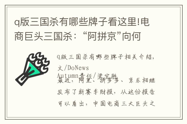 q版三国杀有哪些牌子看这里!电商巨头三国杀：“阿拼京”向何方？