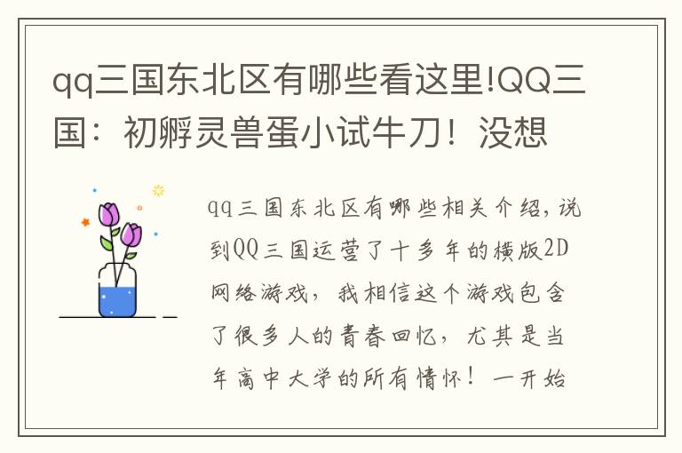 qq三国东北区有哪些看这里!QQ三国：初孵灵兽蛋小试牛刀！没想到蹦了个地品出来