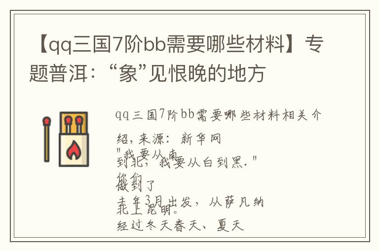 【qq三国7阶bb需要哪些材料】专题普洱：“象”见恨晚的地方