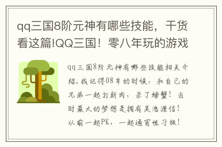 qq三国8阶元神有哪些技能,干货看这篇!QQ三国!零八年玩的游戏,曾经的青春,现在回归玩一下