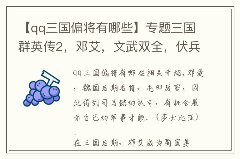 【qq三国偏将有哪些】专题三国群英传2，邓艾，文武双全，伏兵流军师兼武将