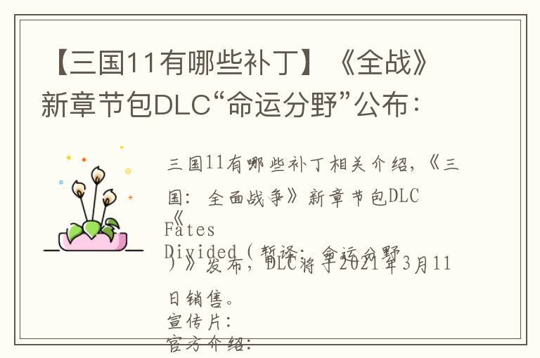 【三国11有哪些补丁】《全战》新章节包DLC“命运分野”公布：3月11日发售