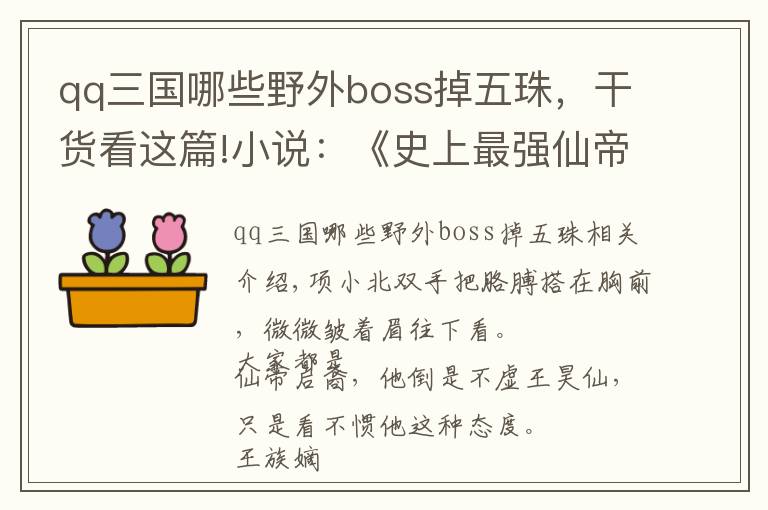qq三国哪些野外boss掉五珠，干货看这篇!小说：《史上最强仙帝》三国也修仙