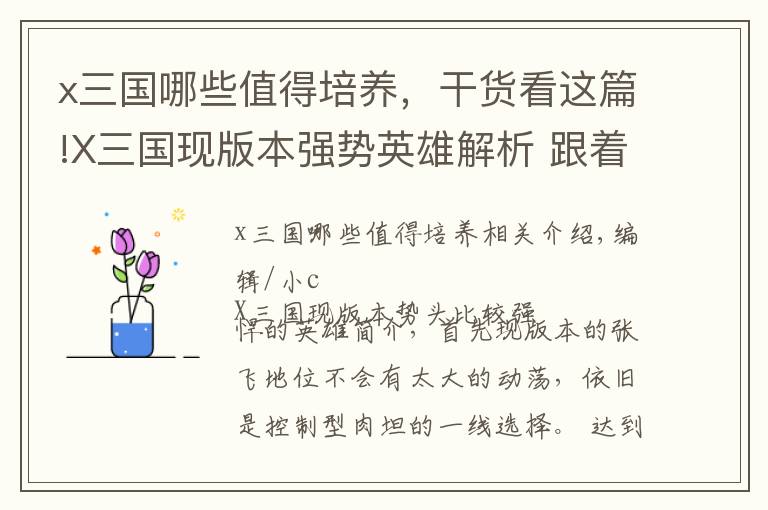 x三国哪些值得培养,干货看这篇!X三国现版本强势英雄解析 跟着版本才是王道