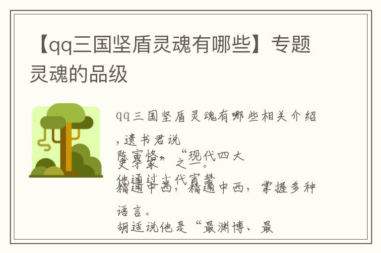 【qq三国坚盾灵魂有哪些】专题灵魂的品级