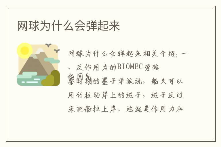 网球为什么会弹起来