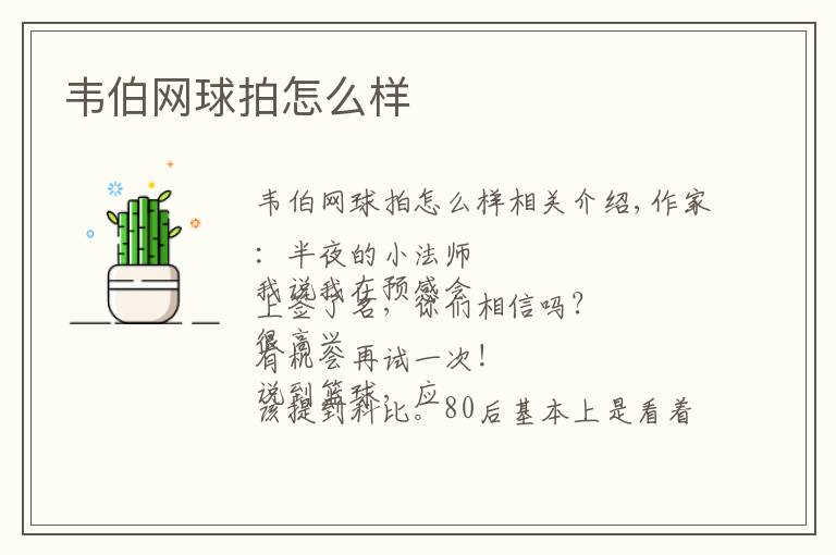 韦伯网球拍怎么样