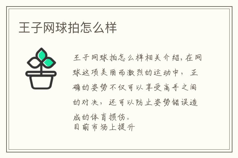 王子网球拍怎么样