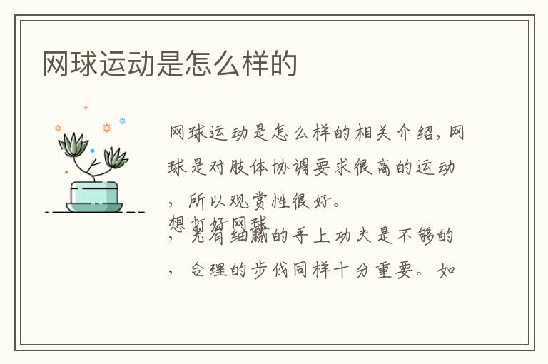 网球运动是怎么样的