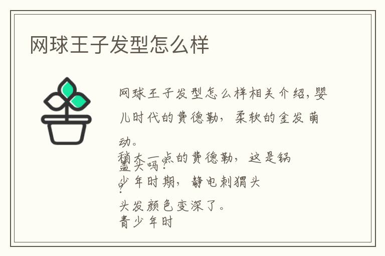 网球王子发型怎么样