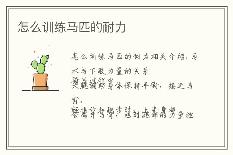 怎么训练马匹的耐力