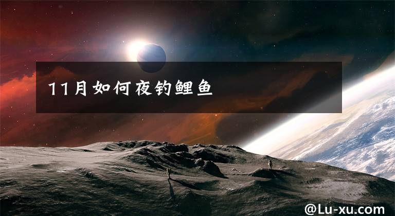 11月如何夜钓鲤鱼