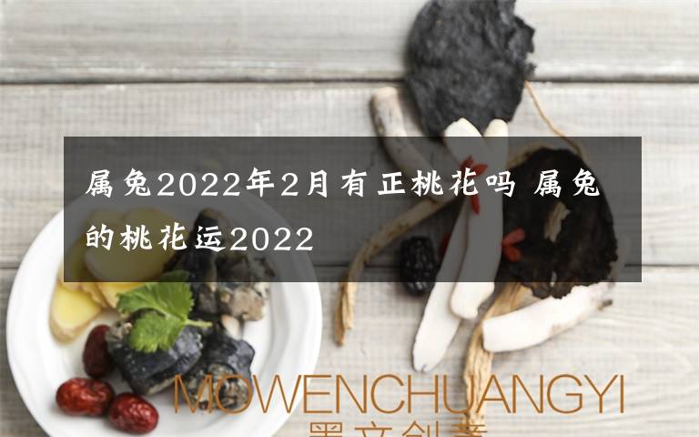 属兔2022年2月有正桃花吗 属兔的桃花运2022