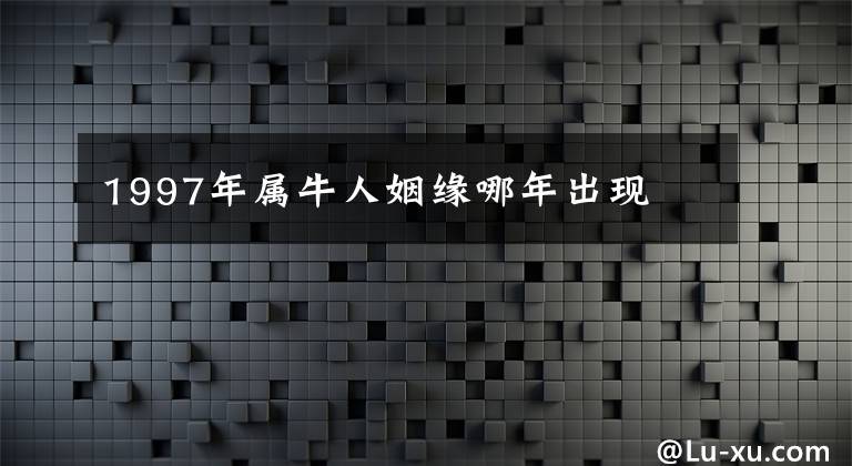 1997年属牛人姻缘哪年出现