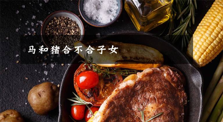 马和猪合不合子女
