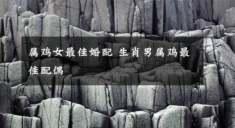 属鸡女最佳婚配 生肖男属鸡最佳配偶