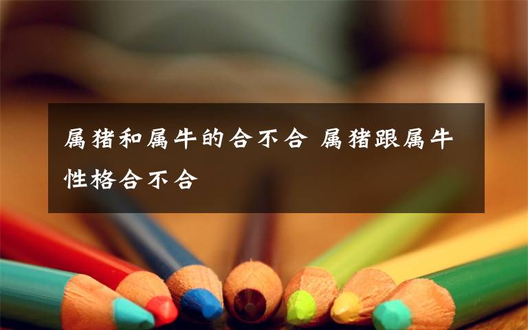 属猪和属牛的合不合 属猪跟属牛性格合不合