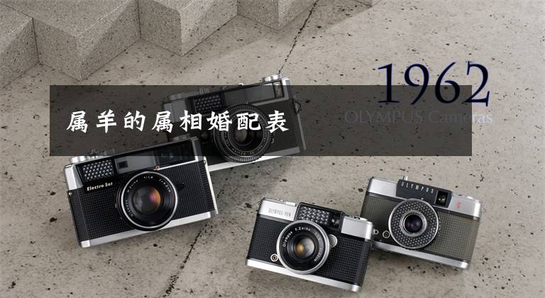 属羊的属相婚配表