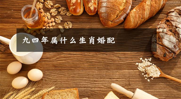 九四年属什么生肖婚配