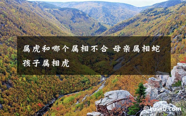 属虎和哪个属相不合 母亲属相蛇孩子属相虎