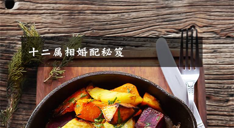 十二属相婚配秘笈