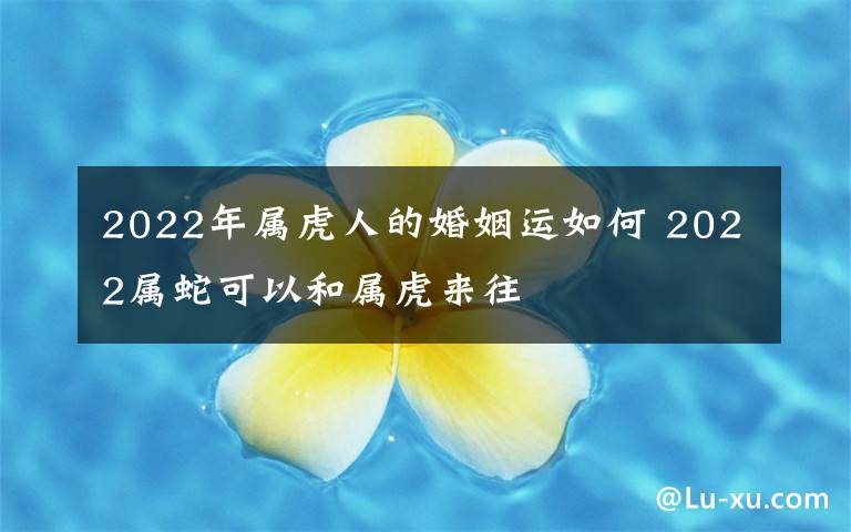 2022年属虎人的婚姻运如何 2022属蛇可以和属虎来往