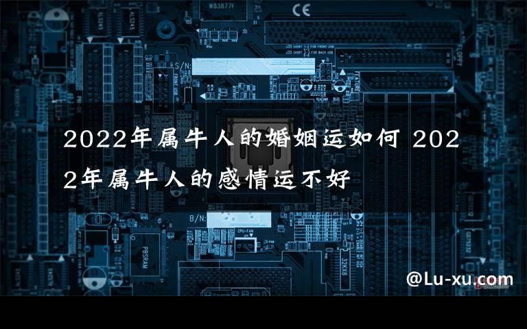 2022年属牛人的婚姻运如何 2022年属牛人的感情运不好