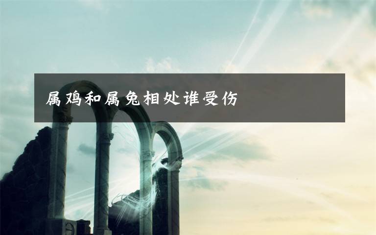 属鸡和属兔相处谁受伤