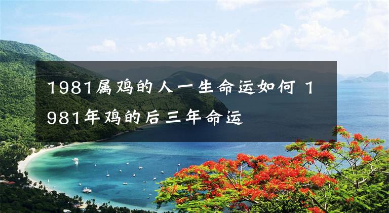1981属鸡的人一生命运如何 1981年鸡的后三年命运