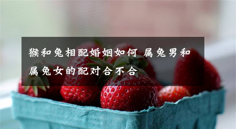 猴和兔相配婚姻如何 属兔男和属兔女的配对合不合