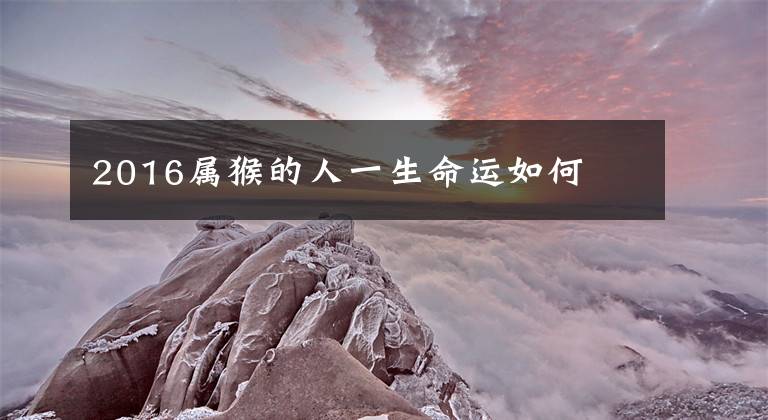 2016属猴的人一生命运如何