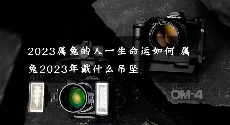 2023属兔的人一生命运如何 属兔2023年戴什么吊坠