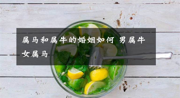 属马和属牛的婚姻如何 男属牛女属马