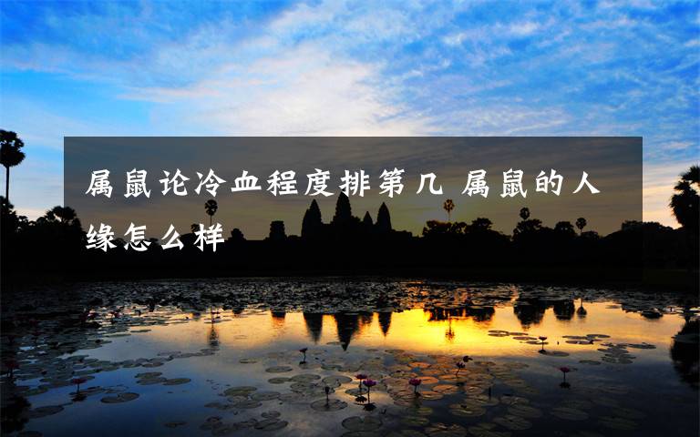 属鼠论冷血程度排第几 属鼠的人缘怎么样