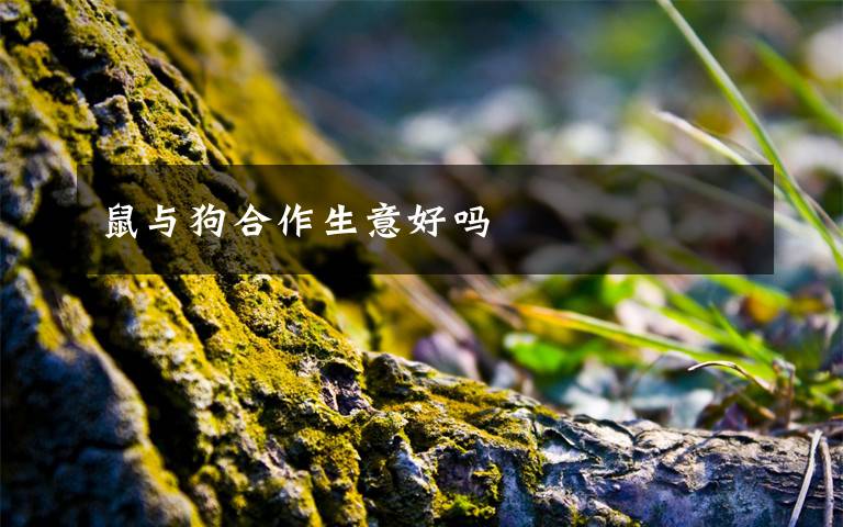 鼠与狗合作生意好吗