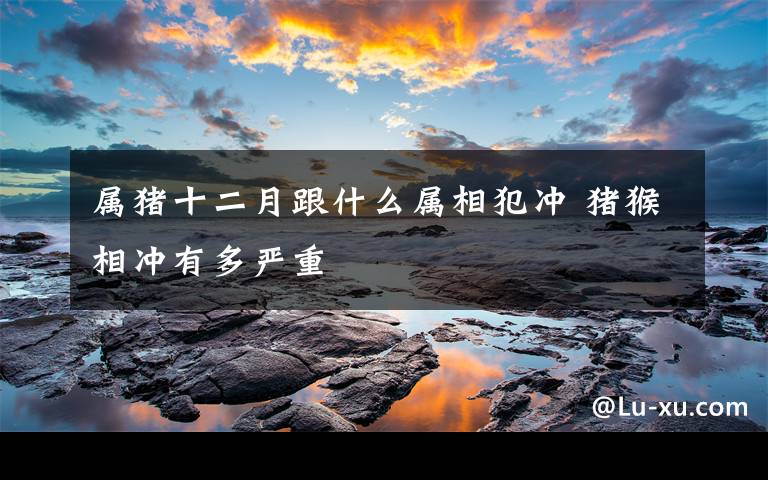 属猪十二月跟什么属相犯冲 猪猴相冲有多严重