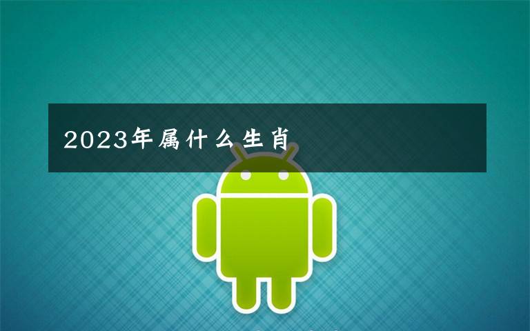 2023年属什么生肖