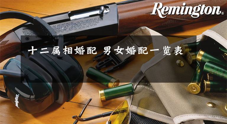 十二属相婚配 男女婚配一览表