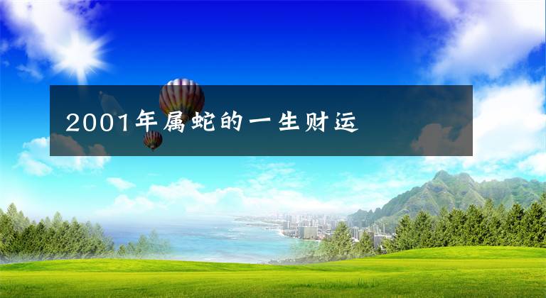 2001年属蛇的一生财运