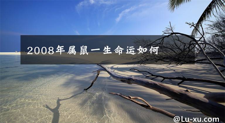 2008年属鼠一生命运如何