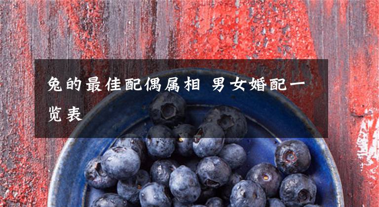 兔的最佳配偶属相 男女婚配一览表