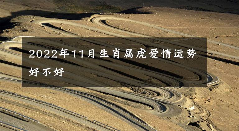 2022年11月生肖属虎爱情运势好不好