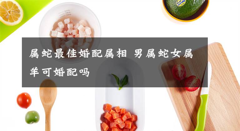 属蛇最佳婚配属相 男属蛇女属羊可婚配吗